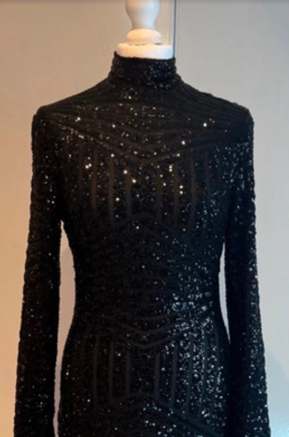 House and of CB Celeb Boutique Black Sequin Bodycon Dress  — photo 1 of 5