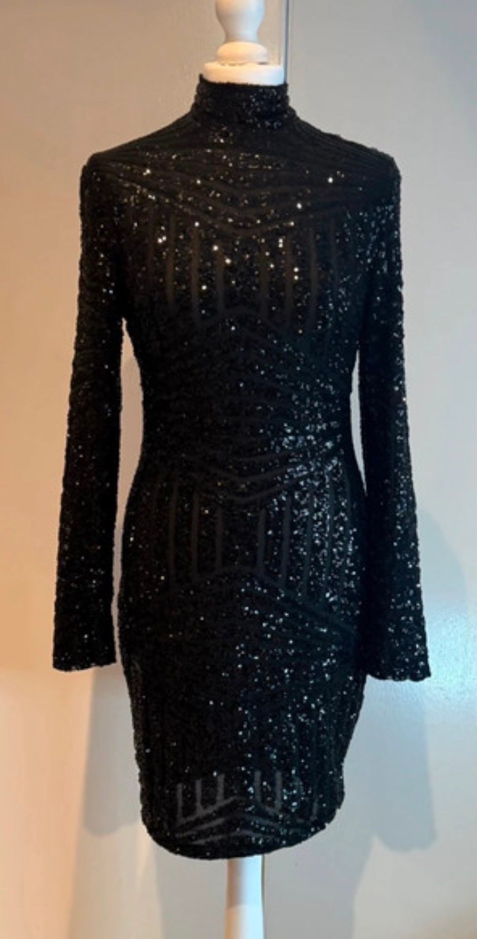 House and of CB Celeb Boutique Black Sequin Bodycon Dress  — photo 3 of 5