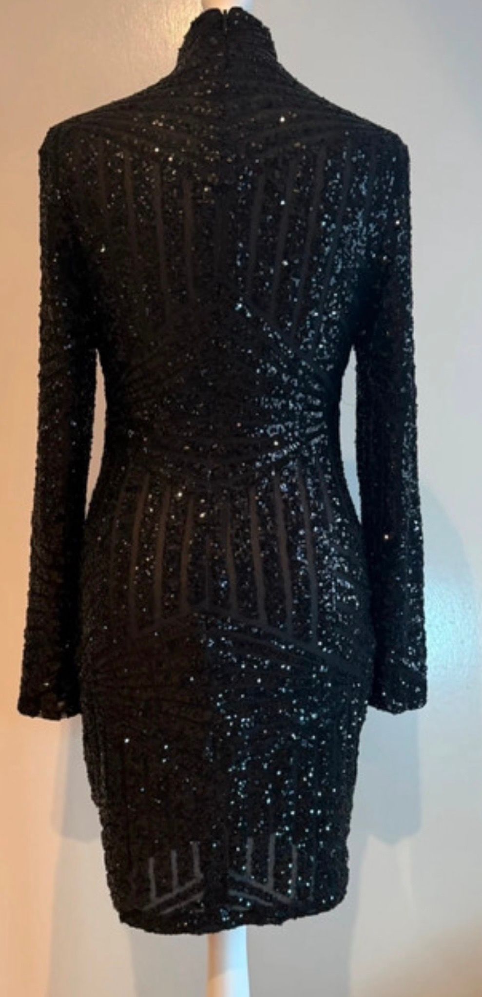 House and of CB Celeb Boutique Black Sequin Bodycon Dress  — photo 4 of 5